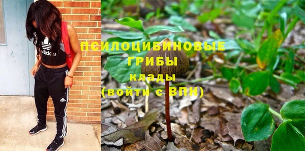 эйфоретик Михайловка
