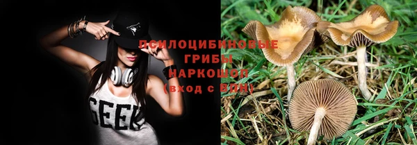 эйфоретик Михайловка